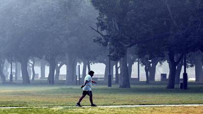 A view of Central Vista Lawns engulfed in a layer of smog in New Delhi. (Hindustan Times) A view of Central Vista Lawns engulfed in a layer of smog in New Delhi. (Hindustan Times)