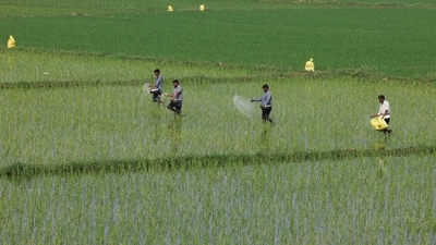 The key lies in enhancing the natural partnerships of crop plants with beneficial soil microbes. (Reuters) The key lies in enhancing the natural partnerships of crop plants with beneficial soil microbes. (Reuters)