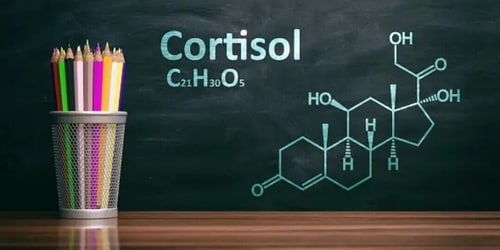 Cortisol can cause fat deposits and lead to more sugar cravings and decrease our metabolism rate. (Unsplash) Cortisol can cause fat deposits and lead to more sugar cravings and decrease our metabolism rate. (Unsplash)