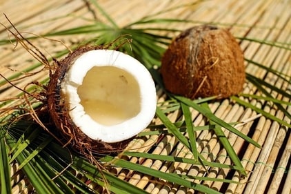 Coconut is one of the best foods for thyroid patients, be it raw coconut or coconut oil. It improves slow and sluggish metabolism. Coconut contains MCFAs i.e. medium chain fatty acids and MTCs i.e. Medium chain triglycerides in abundance which helps improve metabolism. (Image by Pixabay) Coconut is one of the best foods for thyroid patients, be it raw coconut or coconut oil. It improves slow and sluggish metabolism. Coconut contains MCFAs i.e. medium chain fatty acids and MTCs i.e. Medium chain triglycerides in abundance which helps improve metabolism. (Image by Pixabay)