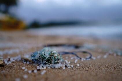 Microplastics from everyday items are infiltrating human brains, with levels increasing substantially over eight years. (Pexels)