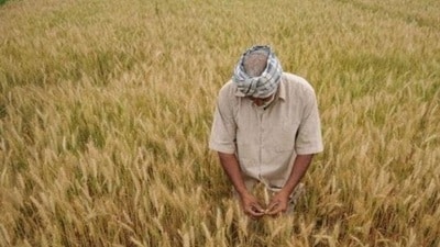 For representation only (HT File Photo) For representation only (HT File Photo)