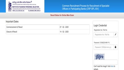 IBPS SO Mains Result 2024 out at ibps.in, direct link to check here IBPS SO Mains Result 2024 out at ibps.in, direct link to check here