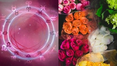 Rose Day 2025: A cosmos-approved guide to gifting the perfect rose sparking a forever romance! Rose Day 2025: A cosmos-approved guide to gifting the perfect rose sparking a forever romance!
