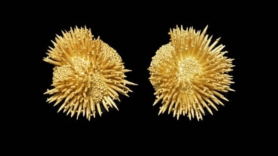 Reef earrings, designed in 18 carat gold, are displayed alongside rings and bracelets inspired by various elements of Nature. Reef earrings, designed in 18 carat gold, are displayed alongside rings and bracelets inspired by various elements of Nature.