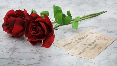 Red rose: The colour red symbolises love and passion. A red rose is commonly used to express love and make heartfelt promises. (Pixabay) Red rose: The colour red symbolises love and passion. A red rose is commonly used to express love and make heartfelt promises. (Pixabay)