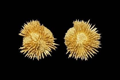 Reef, sculptural gold earrings in 18k, designed by artist Aman Poddar are on display as part of this exhibition in Delhi.