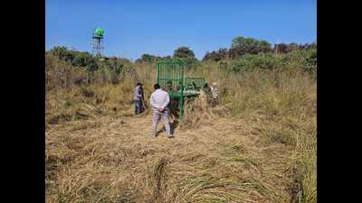 A trapping cage being set up alongside a watch tower in Rehmankheda. (Sourced)