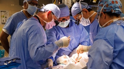 Surgeons from Massachusetts General Hospital in Boston on Jan. 25, 2025, successfully transplanted a genetically-edited pig kidney into 66-year-old Tim Andrews of Concord, N.H. AP/PTI(AP02_07_2025_000260B) (AP) Surgeons from Massachusetts General Hospital in Boston on Jan. 25, 2025, successfully transplanted a genetically-edited pig kidney into 66-year-old Tim Andrews of Concord, N.H. AP/PTI(AP02_07_2025_000260B) (AP)