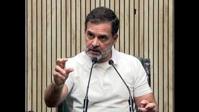 Congress MP Rahul Gandhi (ANI) Congress MP Rahul Gandhi (ANI)