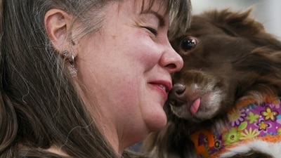 Alicia Bismore with her dog Dazy, waits for the flyball tournament at the 149th Westminster Kennel Club Dog show in New York. (AP Photo/Heather Khalifa) Alicia Bismore with her dog Dazy, waits for the flyball tournament at the 149th Westminster Kennel Club Dog show in New York. (AP Photo/Heather Khalifa)