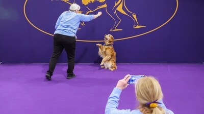 Colleen Swierkocki takes a photo of Diane Stenberg and her golden retriever, Brook, at the 149th Westminster Kennel Club Dog show, Feb. 8, 2025, in New York. (AP Photo/Heather Khalifa) Colleen Swierkocki takes a photo of Diane Stenberg and her golden retriever, Brook, at the 149th Westminster Kennel Club Dog show, Feb. 8, 2025, in New York. (AP Photo/Heather Khalifa)