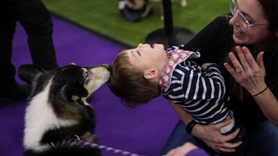 Nico Hutkin, center, reacts after feeding a dog during the 149th Westminster Kennel Club Dog show, Saturday. (AP Photo/Heather Khalifa) Nico Hutkin, center, reacts after feeding a dog during the 149th Westminster Kennel Club Dog show, Saturday. (AP Photo/Heather Khalifa)