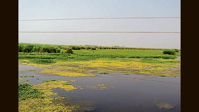 The drive to remove encroachments came in the wake of the latest Supreme Court directions to protect the waterbody. (HT Photo) The drive to remove encroachments came in the wake of the latest Supreme Court directions to protect the waterbody. (HT Photo)