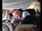 A flight attendant punched a passenger who pulled a woman's hair on an Alaska Airlines flight.