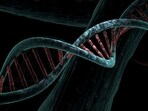By analysing DNA from 435 ancient individuals, a team led by Harvard geneticist David Reich has solved one of humanity's enduring mysteries. 