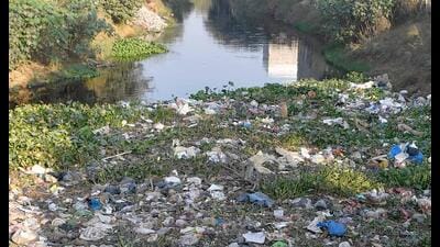 Pollution in waterbodies has been a big issue in the city. (HT File) Pollution in waterbodies has been a big issue in the city. (HT File)