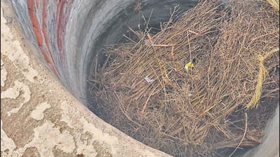 The well in Nuh, Haryana from where the stolen machine was recovered. (HT photo) The well in Nuh, Haryana from where the stolen machine was recovered. (HT photo)