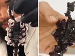 A scientist who crystalises dead insects. 