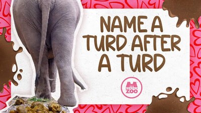 This Valentine's Week, Memphis Zoo allows people to send videos of elephants defecating to exes for $10. (Facebook/MemphisZoo)