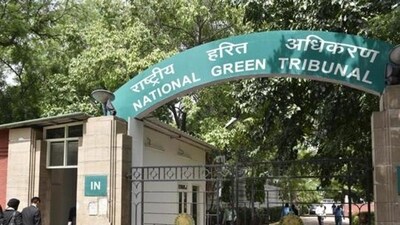 NGT to DDA: Explain Goyla land transfer (HT_PRINT) NGT to DDA: Explain Goyla land transfer (HT_PRINT)