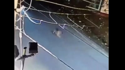 A bike hit a leopard in Udaipur, leaving both the milkman and the big cat injured. (X/@sunillp20) A bike hit a leopard in Udaipur, leaving both the milkman and the big cat injured. (X/@sunillp20)