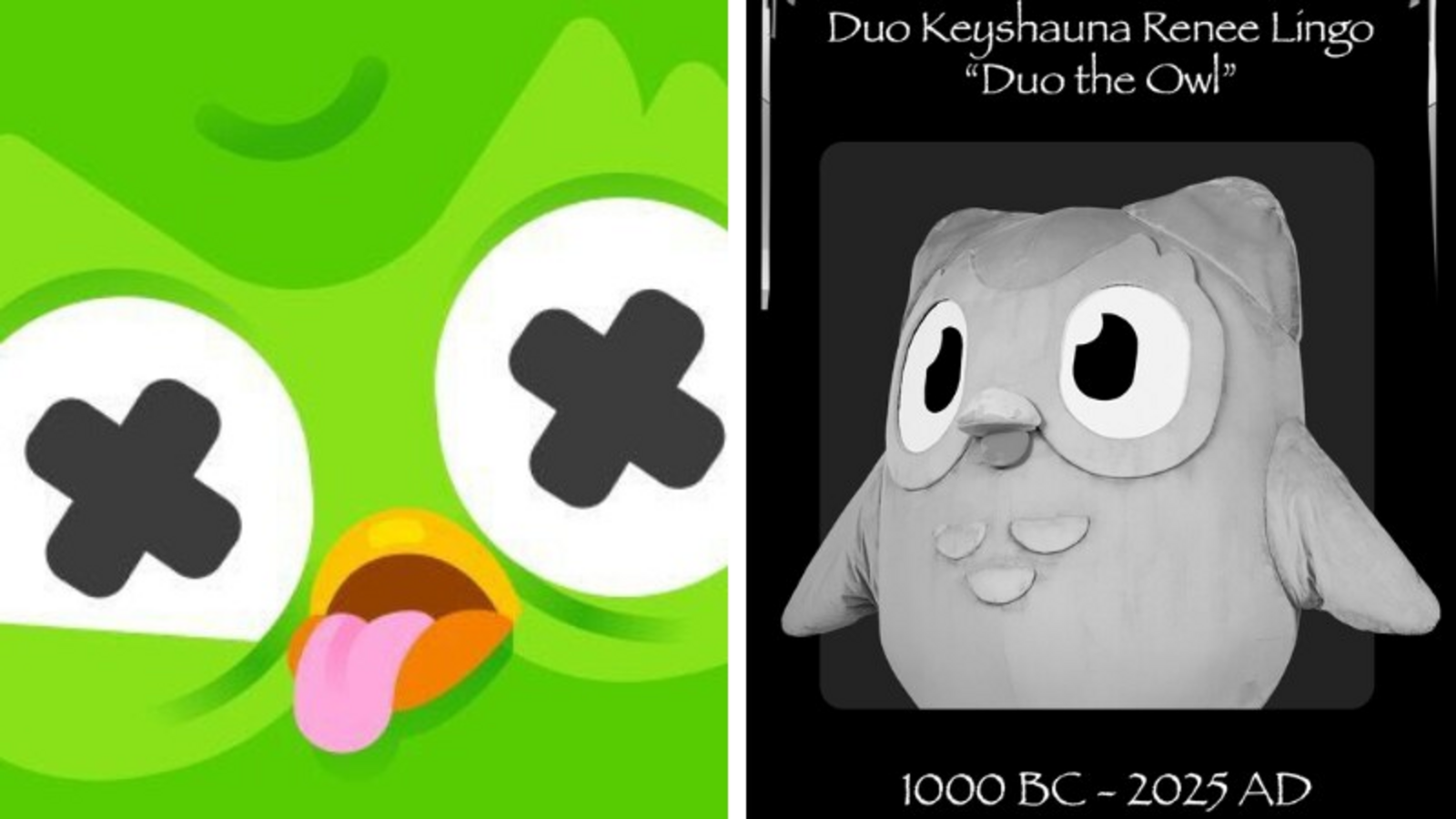 Duolingo s Mascot Duo The Owl Is Dead Company Says he Had Many 