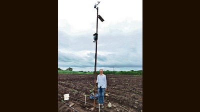 The AI technology draws on multiple data sources—satellite imagery, weather forecasts, soil sensors, and farm-specific inputs—to create customised recommendations for farmers. (HT PHOTO) The AI technology draws on multiple data sources—satellite imagery, weather forecasts, soil sensors, and farm-specific inputs—to create customised recommendations for farmers. (HT PHOTO)