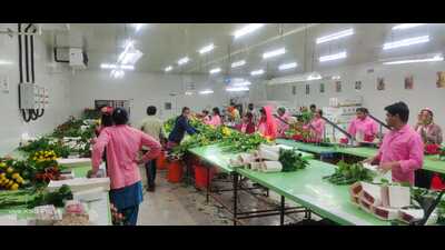 While the overall valuation remains stable, a new trend of sending roses online has emerged over the past few years. (HT PHOTO) While the overall valuation remains stable, a new trend of sending roses online has emerged over the past few years. (HT PHOTO)