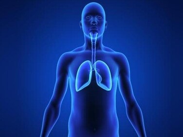 In urban Punjab (SAS Nagar), lung cancer is leading among men; on the other hand, in rural Punjab (Mansa and Sangrur), oesophageal cancer is most common among men. (Shutterstock) In urban Punjab (SAS Nagar), lung cancer is leading among men; on the other hand, in rural Punjab (Mansa and Sangrur), oesophageal cancer is most common among men. (Shutterstock)