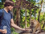 Healing Pavilion is an interactive zoo where visitors can engage with animals. Healing Pavilion is an interactive zoo where visitors can engage with animals.