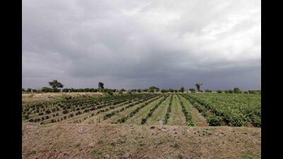 Land for proposed Purandar airport. (REPRESENTATIVE PHOTO) Land for proposed Purandar airport. (REPRESENTATIVE PHOTO)