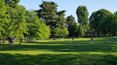 A man claimed that he walked up to a woman sitting alone in a park and told her that she looked amazing (representative image). (Unsplash/martinscardoso_unsplash) A man claimed that he walked up to a woman sitting alone in a park and told her that she looked amazing (representative image). (Unsplash/martinscardoso_unsplash)