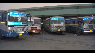 The BS VI buses in Ludhiana. (HT photo) The BS VI buses in Ludhiana. (HT photo)