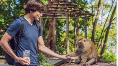 Healing Pavilion is an interactive zoo where visitors can engage with animals. (Representational Image/Pixabay)