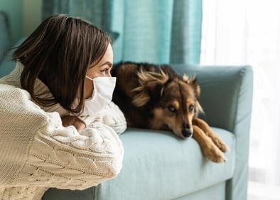 Insulate your house from bad quality air. It is best if you have an air purifier at home. Keep it on at all times when the air pollution level is high. (Freepik) Insulate your house from bad quality air. It is best if you have an air purifier at home. Keep it on at all times when the air pollution level is high. (Freepik)