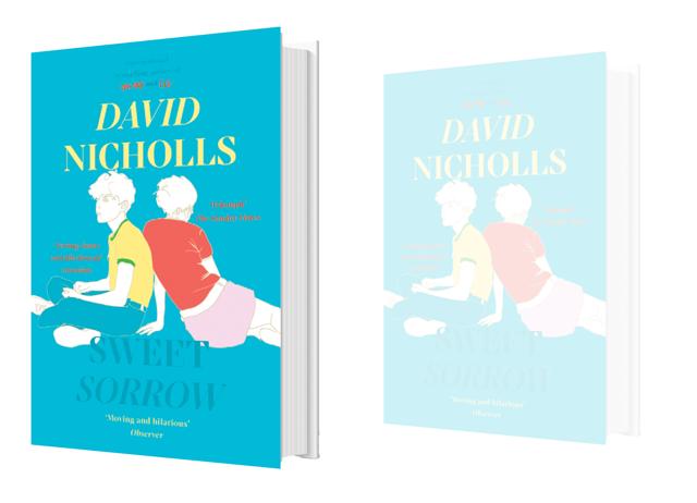 The author’s 2019 novel, Sweet Sorrow, is about growing up as much as it is about falling in love.
