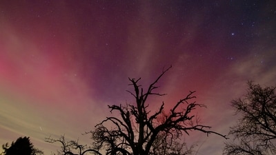 On Valentine’s Day, the aurora borealis could be visible in various U.S. states thanks to a minor solar G1 storm. (Alexander Wolf/dpa via AP) (AP) On Valentine’s Day, the aurora borealis could be visible in various U.S. states thanks to a minor solar G1 storm. (Alexander Wolf/dpa via AP) (AP)