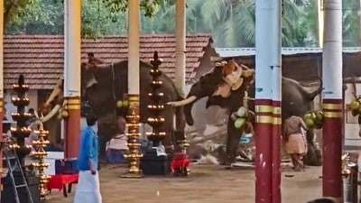The elephants that went berserk during a temple festival at Manakkulangara Bhagavathi Temple, at Koyilandy in Kozhikode district, Kerala. At least 3 people were killed in the incident, according to officials. (PTI)