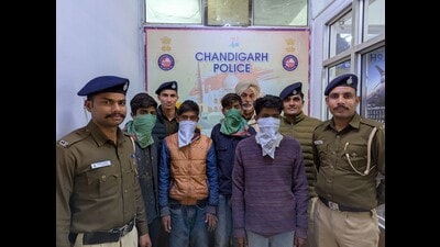 The accused, identified as Satpal, alias Babu, 20, Aakash, alias Billa, 19, Angeed, alias Chaila, 19, and Rahul, 29, in the custody of Chandigarh Police. (HT Photo)