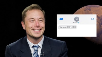 Elon Musk reacted to the post with a heart emoji. (X/Pixabay) Elon Musk reacted to the post with a heart emoji. (X/Pixabay)