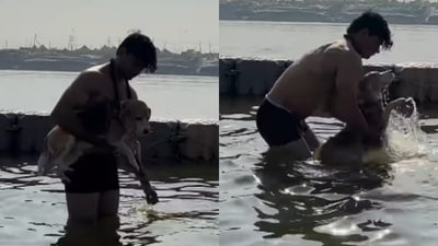 A man’s beagle joined him for a holy dip at Mahakumbh. (Instagram/vanshchhabra30) A man’s beagle joined him for a holy dip at Mahakumbh. (Instagram/vanshchhabra30)