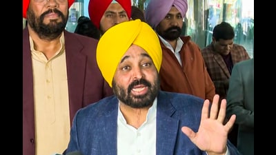 Punjab CM Bhagwant Mann during a press conference in Amritsar on Saturday. (PTI)
