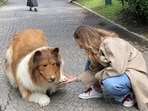 The man transformed himself into a ‘dog’ by spending <span class='webrupee'>₹</span>11 lakh. The man transformed himself into a ‘dog’ by spending <span class='webrupee'>₹</span>11 lakh.