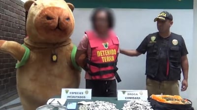 Peruvian police officer in capybara costume surprises suspect in drug raid. (X-@Rainmaker1973) Peruvian police officer in capybara costume surprises suspect in drug raid. (X-@Rainmaker1973)