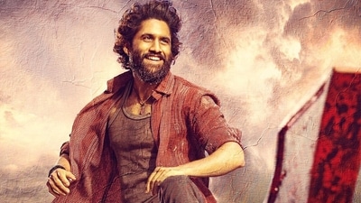 Thandel worldwide box office collection day 10: Naga Chaitanya played a fisherman from Srikakulam in the film. Thandel worldwide box office collection day 10: Naga Chaitanya played a fisherman from Srikakulam in the film.