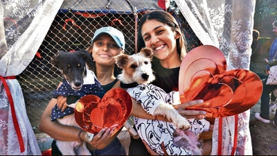 Thane, India - February 16, 2025: Activities of NGO from thane (rescuing street animals) in Thane celebrated Valentine's Day with animals at Freedom Farm, Animal Shelter in Kasarwadvali . This time, songs, dances and selfies were taken with the animals. Citizens also participated in this program. ,in Thane,in Mumbai, India, on, Sunday, February -16, 2024. ( Praful Gangurde /HT Photo ) Thane, India - February 16, 2025: Activities of NGO from thane (rescuing street animals) in Thane celebrated Valentine's Day with animals at Freedom Farm, Animal Shelter in Kasarwadvali . This time, songs, dances and selfies were taken with the animals. Citizens also participated in this program. ,in Thane,in Mumbai, India, on, Sunday, February -16, 2024. ( Praful Gangurde /HT Photo )