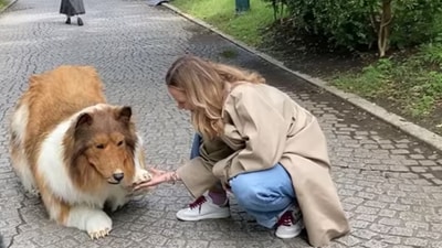 The man transformed himself into a ‘dog’ by spending  ₹11 lakh. (YouTube/ I want to be an animal))