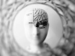 The researchers observed quick changes in the brain circuit to adapt to changing cues.