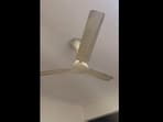 A user on X, formerly Twitter, shared a video of a ceiling fan shaking due to earthquake in Delhi. A user on X, formerly Twitter, shared a video of a ceiling fan shaking due to earthquake in Delhi.